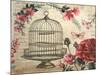 Birdcage &amp; Blossoms-Kimberly Poloson-Mounted Art Print