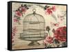 Birdcage &amp; Blossoms-Kimberly Poloson-Framed Stretched Canvas