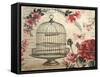 Birdcage &amp; Blossoms-Kimberly Poloson-Framed Stretched Canvas