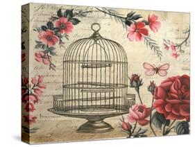 Birdcage &amp; Blossoms-Kimberly Poloson-Stretched Canvas