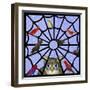 Birdcalls 33-David Sheskin-Framed Giclee Print