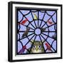 Birdcalls 33-David Sheskin-Framed Giclee Print