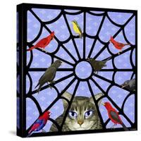 Birdcalls 33-David Sheskin-Stretched Canvas