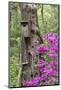 Birdhouse and Azaleas, Azalea Path Arboretum and Botanical Gardens, Hazleton, Indiana-Richard and Susan Day-Mounted Photographic Print