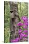 Birdhouse and Azaleas, Azalea Path Arboretum and Botanical Gardens, Hazleton, Indiana-Richard and Susan Day-Stretched Canvas