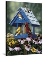 Birdhouse, Birds, Coneflower-William Vanderdasson-Stretched Canvas