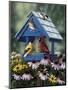 Birdhouse, Birds, Coneflower-William Vanderdasson-Mounted Premium Giclee Print