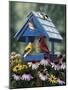 Birdhouse, Birds, Coneflower-William Vanderdasson-Mounted Premium Giclee Print