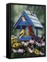 Birdhouse, Birds, Coneflower-William Vanderdasson-Framed Stretched Canvas