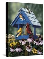 Birdhouse, Birds, Coneflower-William Vanderdasson-Stretched Canvas