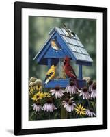 Birdhouse, Birds, Coneflower-William Vanderdasson-Framed Giclee Print