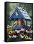 Birdhouse, Birds, Coneflower-William Vanderdasson-Framed Stretched Canvas