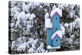 Birdhouse Near Inkberry Bush in Winter, Marion, Illinois, Usa-Richard ans Susan Day-Stretched Canvas