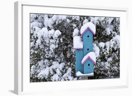 Birdhouse Near Inkberry Bush in Winter, Marion, Illinois, Usa-Richard ans Susan Day-Framed Photographic Print