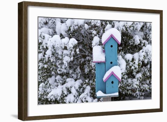 Birdhouse Near Inkberry Bush in Winter, Marion, Illinois, Usa-Richard ans Susan Day-Framed Photographic Print