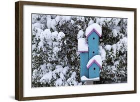 Birdhouse Near Inkberry Bush in Winter, Marion, Illinois, Usa-Richard ans Susan Day-Framed Photographic Print