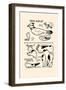Birdie Blue Jay & Doggie Spots-Michael C. Dank-Framed Art Print