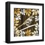 Birdie II-Erin Clark-Framed Art Print