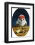 Birdie Shot II-Lucia Heffernan-Framed Art Print