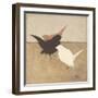 Birdies I-Patricia Pinto-Framed Art Print