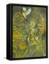 Birding I-Chariklia Zarris-Framed Stretched Canvas