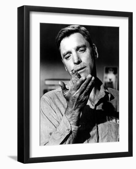 Birdman Of Alcatraz, Burt Lancaster, 1962-null-Framed Photo