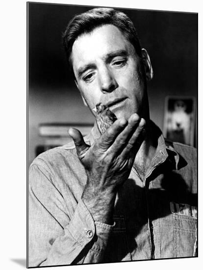 Birdman Of Alcatraz, Burt Lancaster, 1962-null-Mounted Photo