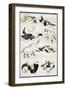 Birds, 1817-Katsushika Hokusai-Framed Giclee Print