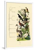 Birds, 1833-39-null-Framed Giclee Print