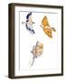 Birds, 2020, (Pen, Ink and Digital)-Charlotte Orr-Framed Giclee Print