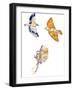 Birds, 2020, (Pen, Ink and Digital)-Charlotte Orr-Framed Giclee Print