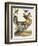 Birds 27. 1. Pinnated Grous. 2. Blue-Green Warbler. 3. Nashville W., 1808-1814-Alexander Wilson-Framed Giclee Print