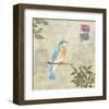 Birds 2-Rick Novak-Framed Art Print