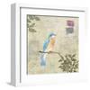 Birds 2-Rick Novak-Framed Art Print