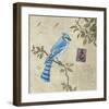 Birds 4-Rick Novak-Framed Art Print