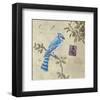 Birds 4-Rick Novak-Framed Art Print