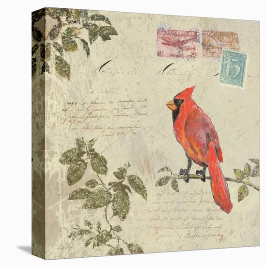 Birds 5-Rick Novak-Stretched Canvas
