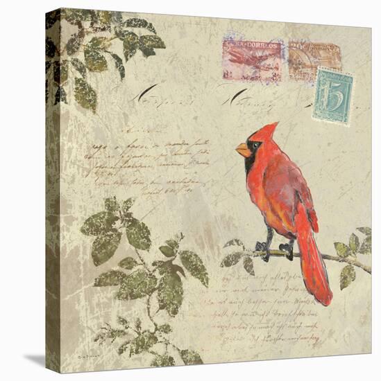 Birds 5-Rick Novak-Stretched Canvas