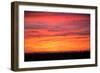 Birds Across Sunset, Merced Wildlife Refuge-null-Framed Photographic Print