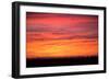 Birds Across Sunset, Merced Wildlife Refuge-null-Framed Photographic Print