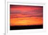 Birds Across Sunset, Merced Wildlife Refuge-null-Framed Photographic Print