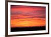 Birds Across Sunset, Merced Wildlife Refuge-null-Framed Photographic Print