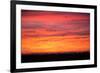 Birds Across Sunset, Merced Wildlife Refuge-null-Framed Photographic Print