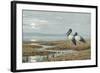 Birds Against a Stark Moonlit Landscape, c.1870-90-Henry Stacey Marks-Framed Giclee Print