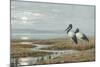 Birds Against a Stark Moonlit Landscape, c.1870-90-Henry Stacey Marks-Mounted Giclee Print