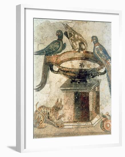 Birds and an Ambushing Cat, from Pompeii, 1st Century Ad-null-Framed Giclee Print