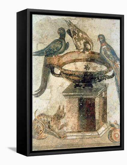 Birds and an Ambushing Cat, from Pompeii, 1st Century Ad-null-Framed Stretched Canvas