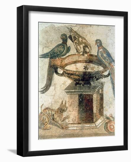 Birds and an Ambushing Cat, from Pompeii, 1st Century Ad-null-Framed Giclee Print