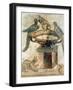 Birds and an Ambushing Cat, from Pompeii, 1st Century Ad-null-Framed Giclee Print