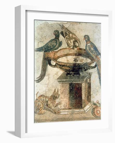 Birds and an Ambushing Cat, from Pompeii, 1st Century Ad-null-Framed Giclee Print